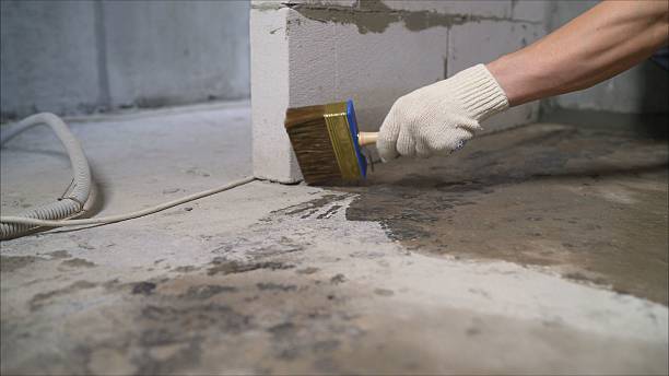 Top rated local Wet Basement Repair specialists in Clarksville, TN